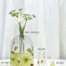 평생기프트 이미지