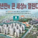 주문진스타 이미지