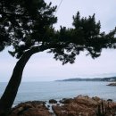 만석이용원