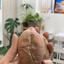 예비신부의 웨딩준비_원주 다이어트한약 정심한약국 후기