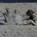 증도 갯벌생태전시관 이미지