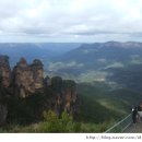 블루마운틴 이미지