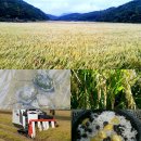 성재농장 이미지