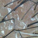 사직2동-26 이미지