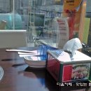 페퍼떡볶이
