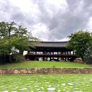 삼척호반닭갈비 | 삼척 맛집 호반닭갈비! 삼척 맛집 추천 내돈내산