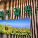 훼밀리 골프존 이미지