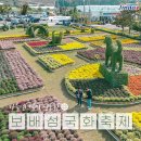 진도향토문화회관 | 진도 가볼만한곳 2024 보배섬 국화축제 진도 철마공원 진도향토문화회관 일대