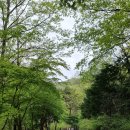 방화동 자연휴양림에서 장안산 용소계곡까지 등산 (윗용소, 덕산계곡)