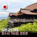 일본교토여행 청수사 | 난바에서 가는 법 포토존 자유여행 후기