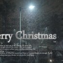 명지대 한얼 합기도 이미지