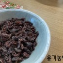 이명은 농장 이미지