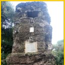 도미네로 이미지