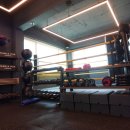 제이비복싱 이미지