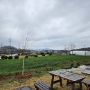 미화 3색김밥 까페 이미지