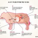 원조마포숯불갈비 이미지
