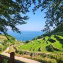 시골할매쌈밥 이미지