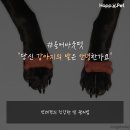 안녕, 펫 이미지