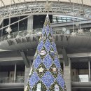 신선가든 | 후쿠오카 후르츠 가든 신선 오전 방문 후기 (위치)