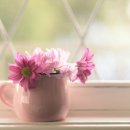 꽃(flower)