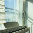 분당-250 이미지