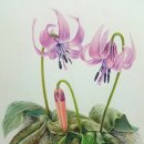 아름드리도서관 이미지