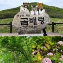 (주)삼성여행사 이미지