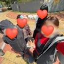 울산역로 | 2026울산 현역가왕3 울산 콘서트 당일 후기🔥(26.04.18. 토)