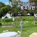 토곡조경 | 양산 화덕피자,파스타 맛집<토곡정원> 분위기 좋은 야외테이블!