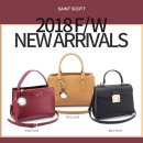 세인트스코트 카카오 검색결과