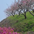 남산반곡지 이미지