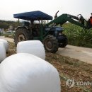 상강축사 이미지