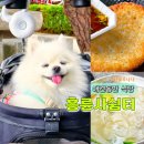 [인천/송도] 석가탄신일 애견동반 식당 "흥륜사쉼터" 강아지동반 맛집 솔직후기
