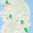 라온캣 부산화명점 이미지