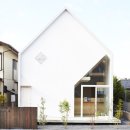 House H Y-shaped inhabitable forest - 모던하우스 이미지