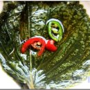 문경밥상 이미지