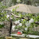 매일농장 이미지