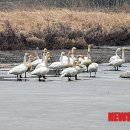 고니농장 이미지