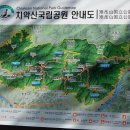 제주 1년 살기 일상[73] ; 치악산 이미지