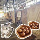 황토마을숯가마 | 구미 장천 가볼만한곳 무료숯가마 참숯마을황토방