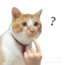 사각사각 손글씨사랑 | 20251213