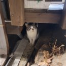 강물소리펜션 이미지