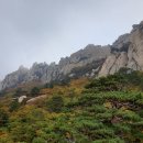 서경민박 이미지