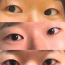 삼양 동물병원 | 내돈내산] 라섹 1달 전 준비! 무쌍 홑꺼풀 속눈썸펌 100% 만족하는 래쉬원 가오리 역 (찐추천👍솔직후기‼️)