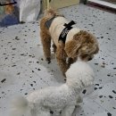 둥글댕글 이미지