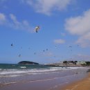 자연알로(보령) 이미지