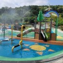 패밀리파크 이미지