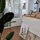 대구 버베나스튜디오 신생아 본아트 뉴본 사진 촬영 후기 , 내돈내산