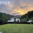 스테이 감동 이미지