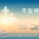 시내산목장 이미지